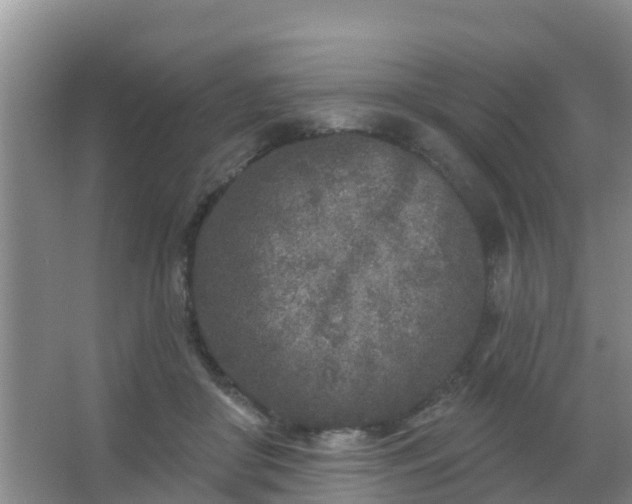 X0000067490410200604150047