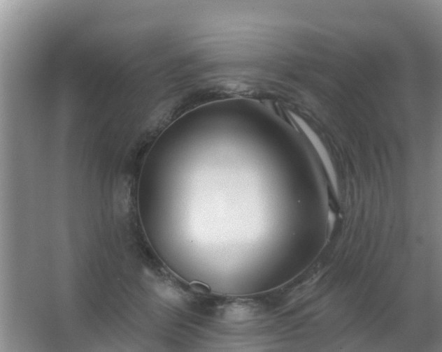 X0000067490412200604150047