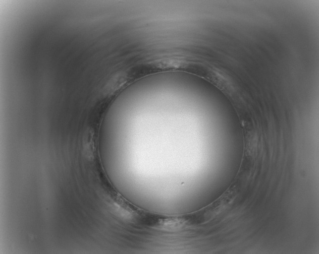 X0000067490414200604150047