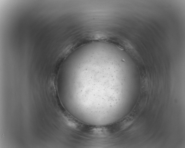 X0000067490415200604150047