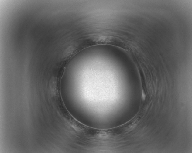 X0000067490416200604150047