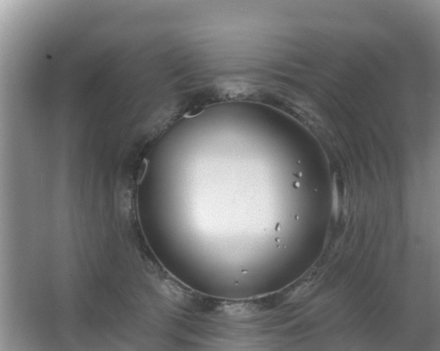 X0000067490417200604150047