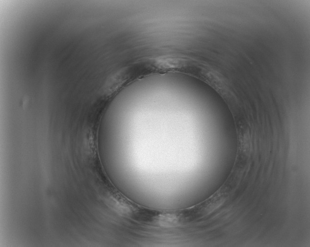 X0000067490418200604150047