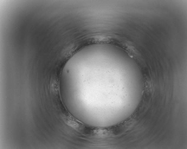 X0000067490419200604150047