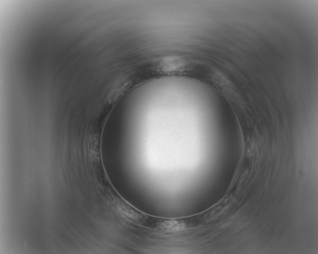 X0000067490421200604150047