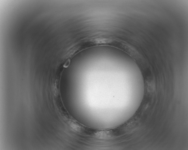 X0000067490422200604150047