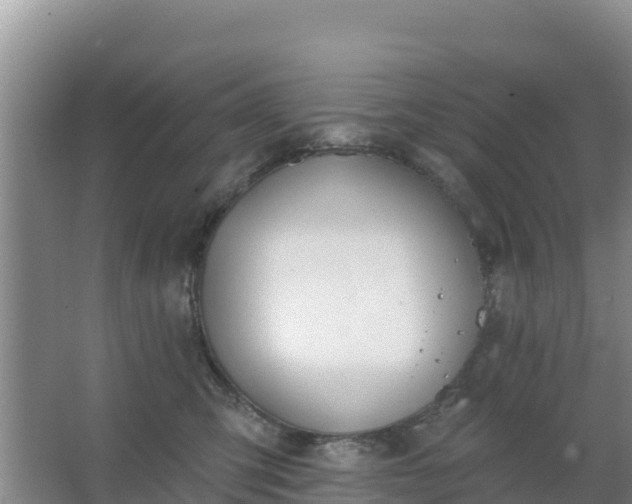 X0000067490423200604150047