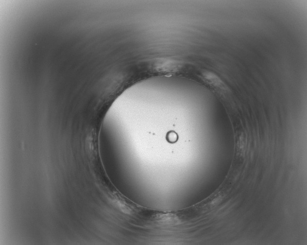 X0000067490424200604150047