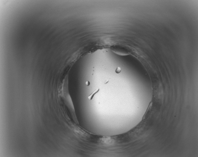 X0000067490425200604150047