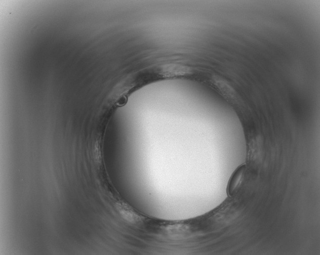 X0000067490426200604150047