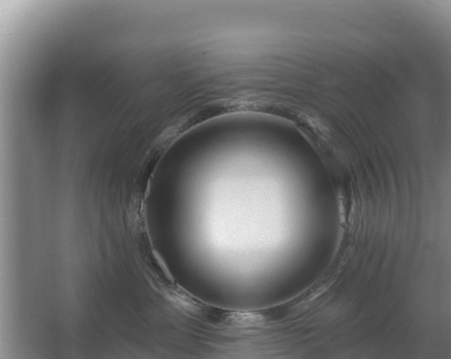 X0000067490429200604150046