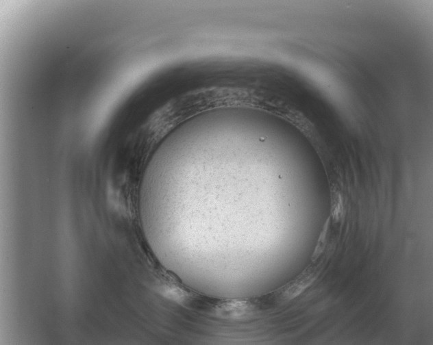 X0000067490431200604150046