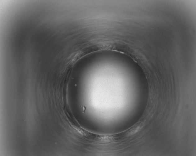 X0000067490432200604150046