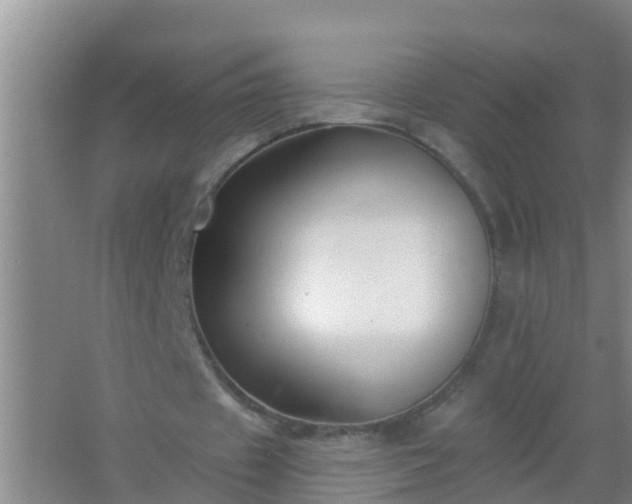 X0000067490433200604150046