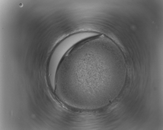 X0000067490434200604150046