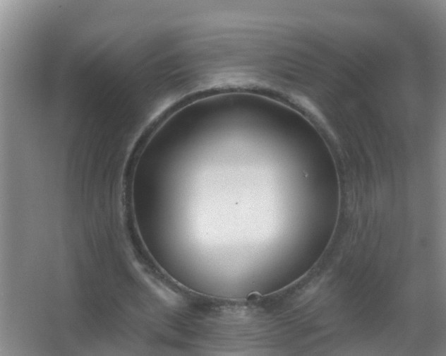 X0000067490439200604150046