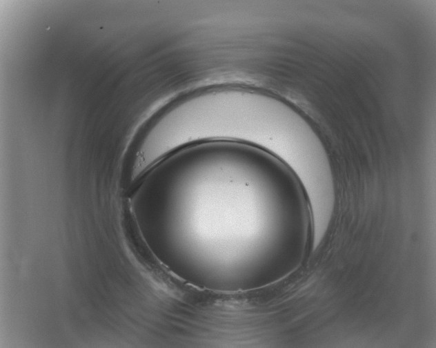 X0000067490440200604150046