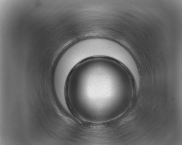 X0000067490446200604150046