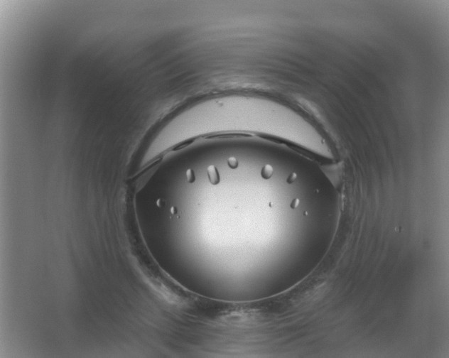 X0000067490447200604150046