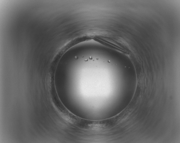 X0000067490448200604150046