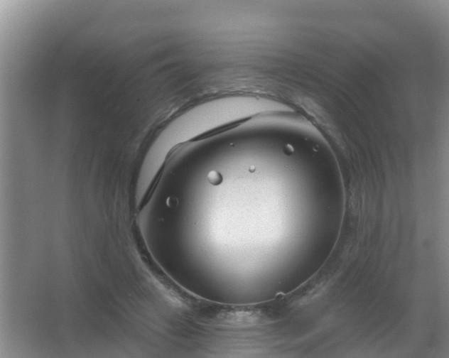 X0000067490449200604150046