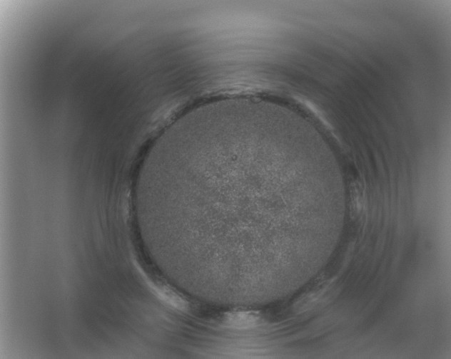 X0000067490451200604150046