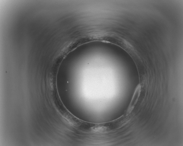 X0000067490452200604150046