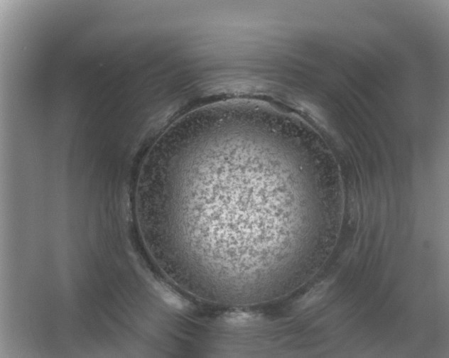 X0000067490453200604150046