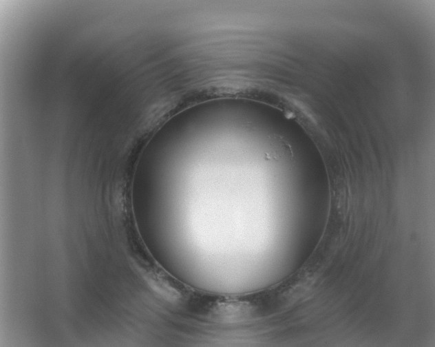 X0000067490455200604150046