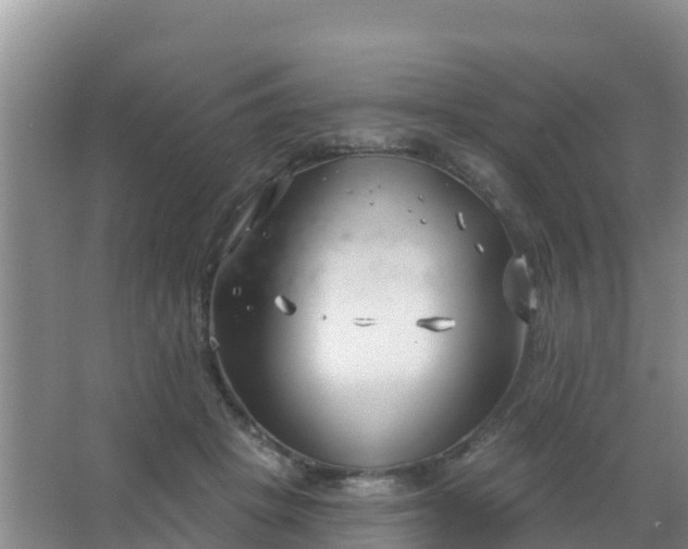 X0000067490457200604150046