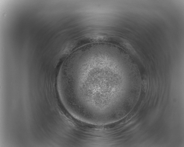 X0000067490458200604150046