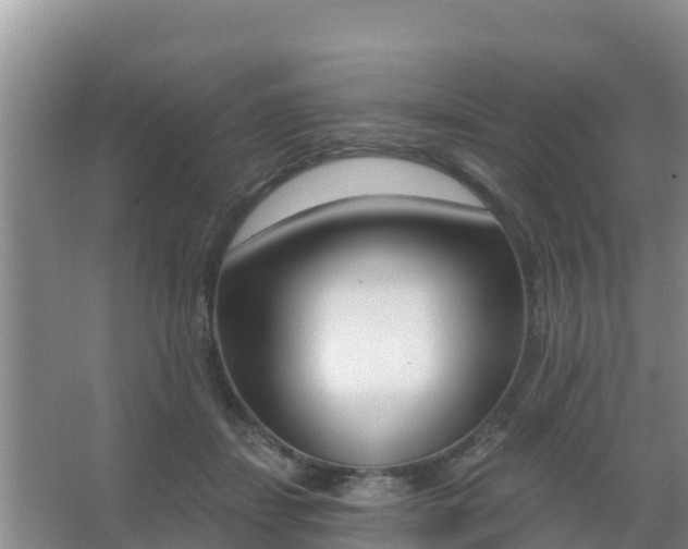 X0000067490459200604150046