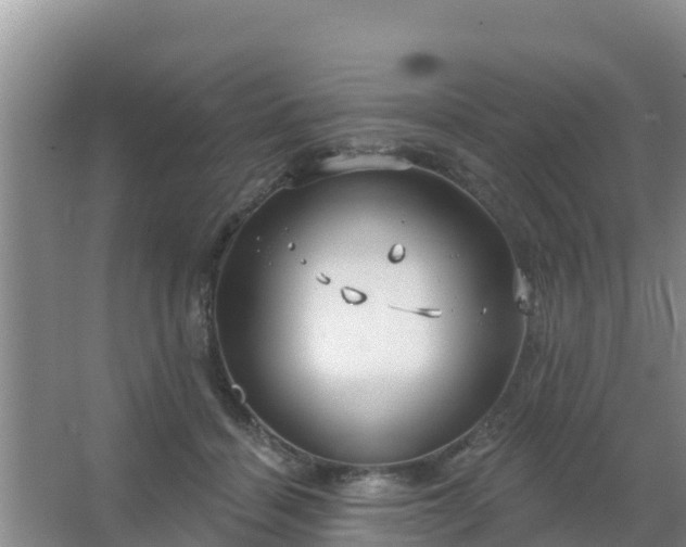 X0000067490460200604150046