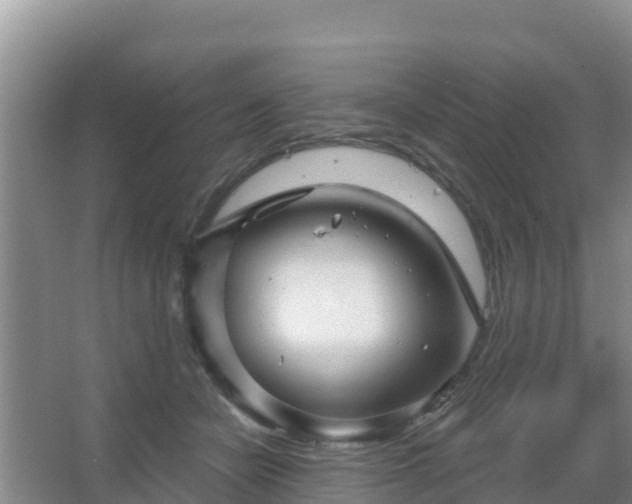 X0000067490462200604150046