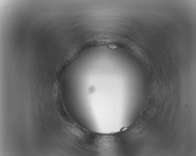 X0000067490463200604150046