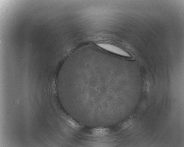 X0000067490465200604150046