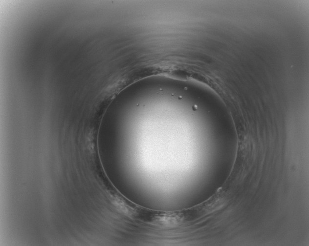 X0000067490466200604150046