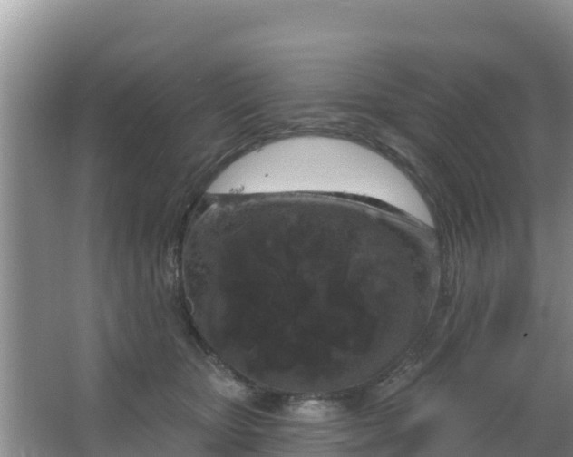 X0000067490467200604150046