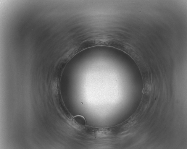 X0000067490468200604150046