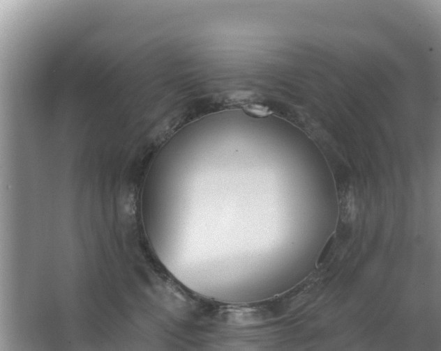 X0000067490472200604150046