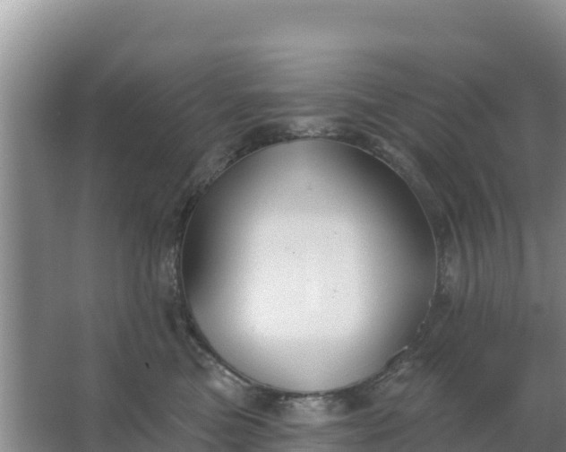 X0000067490473200604150046