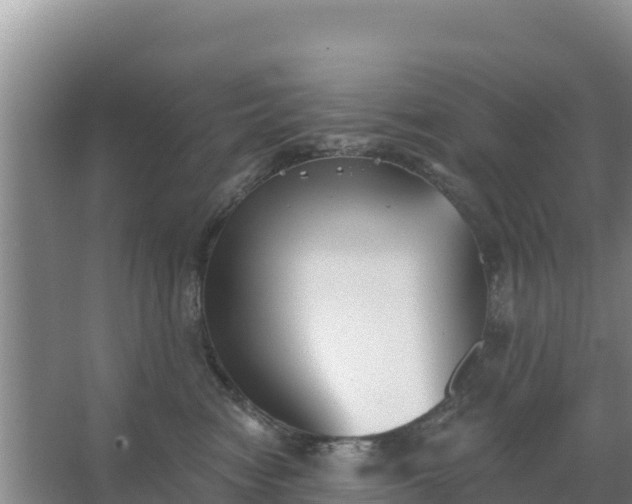 X0000067490474200604150046