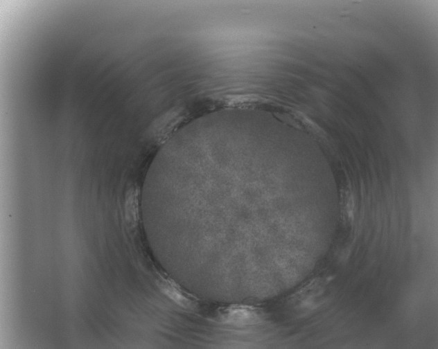 X0000067490475200604150046