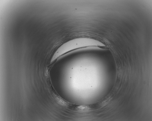 X0000067490477200604150046