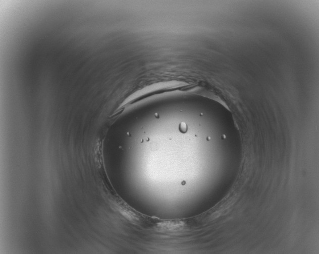 X0000067490480200604150046