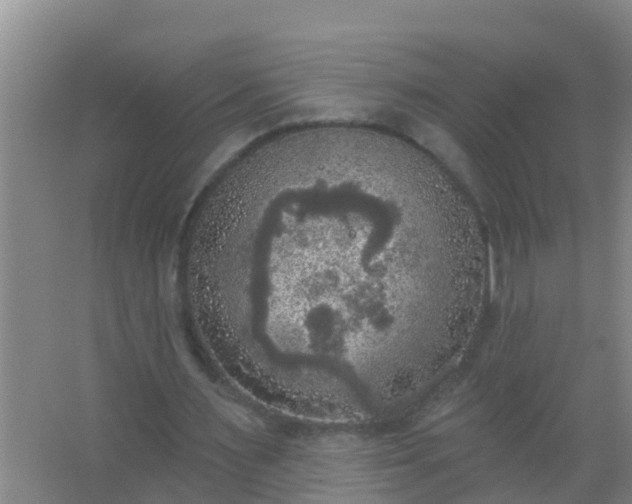 X0000067490483200604150046