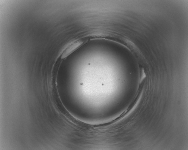 X0000067490484200604150046