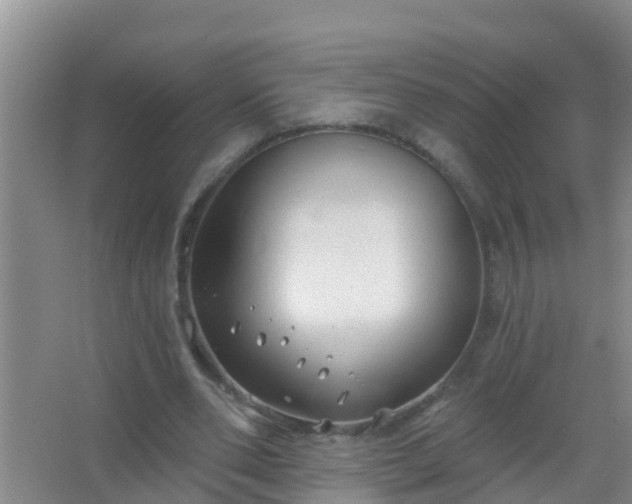 X0000067490486200604150046