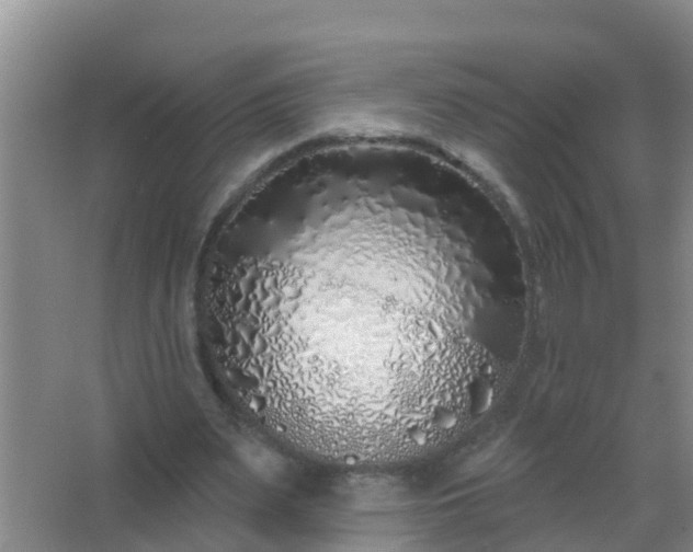 X0000067490487200604150046