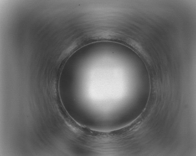 X0000067490489200604150045